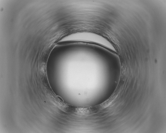 X0000087380141200705111745