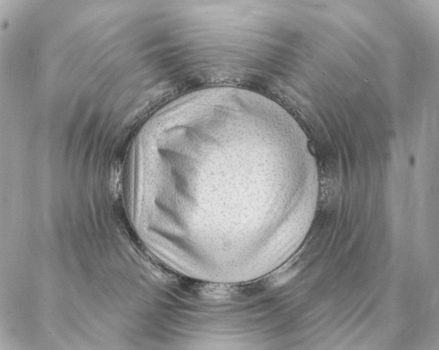 X0000087380142200705111745