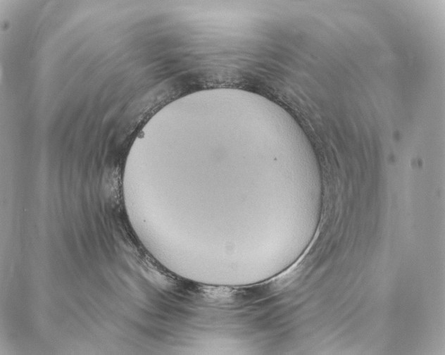 X0000087380144200705111745