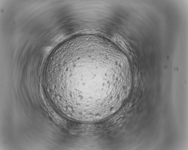 X0000087380145200705111744