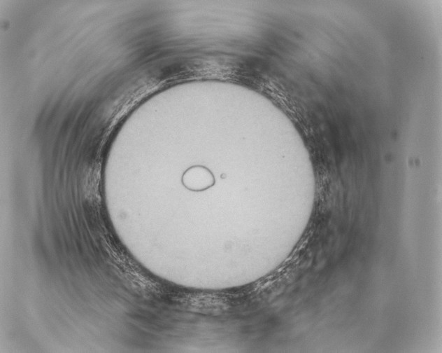 X0000087380146200705111744