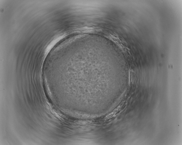 X0000087380147200705111744