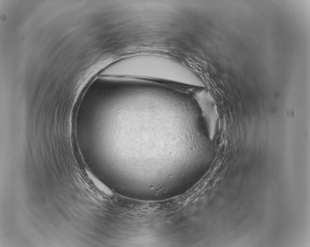 X0000087380148200705111744