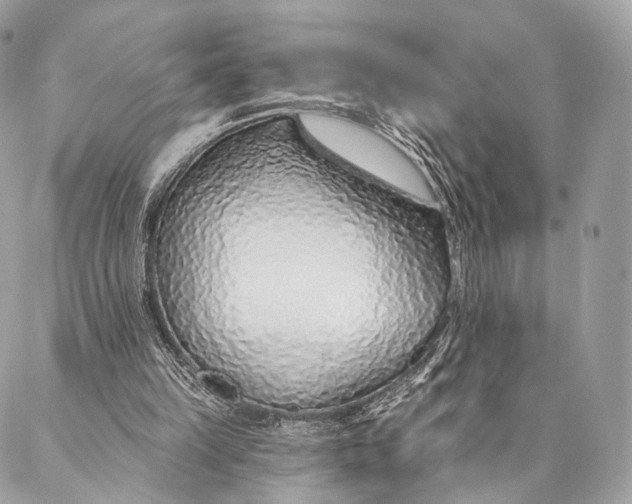 X0000087380149200705111744