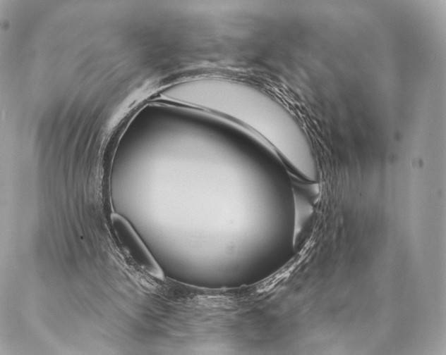 X0000087380150200705111744