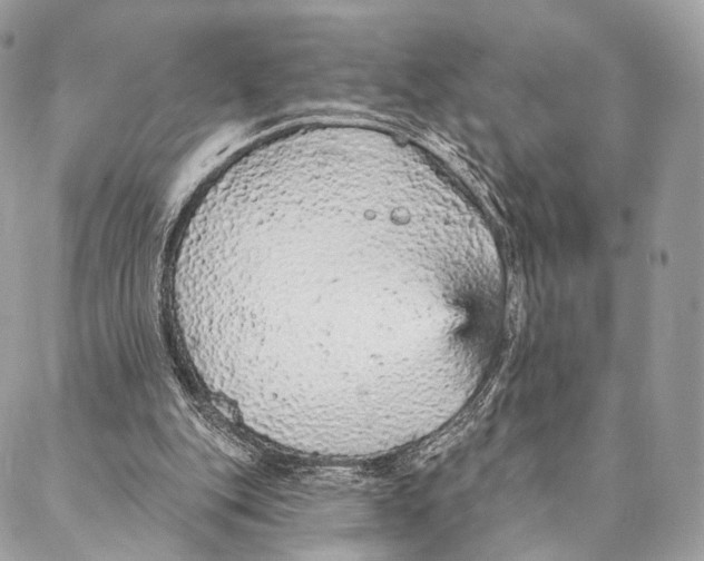 X0000087380151200705111744