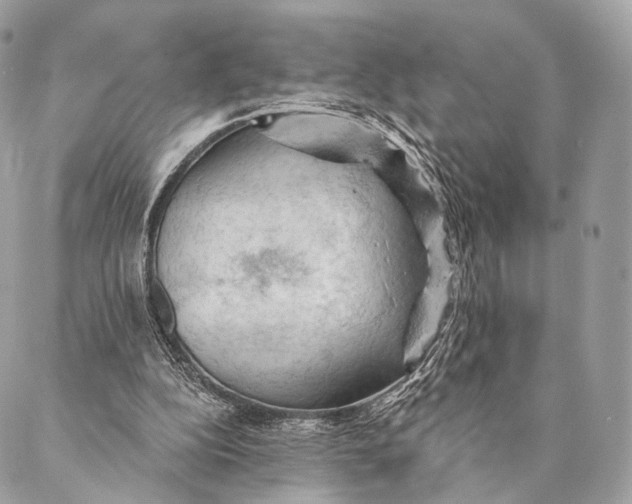 X0000087380152200705111744