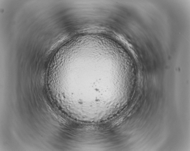 X0000087380153200705111744