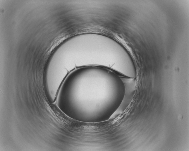 X0000087380154200705111744