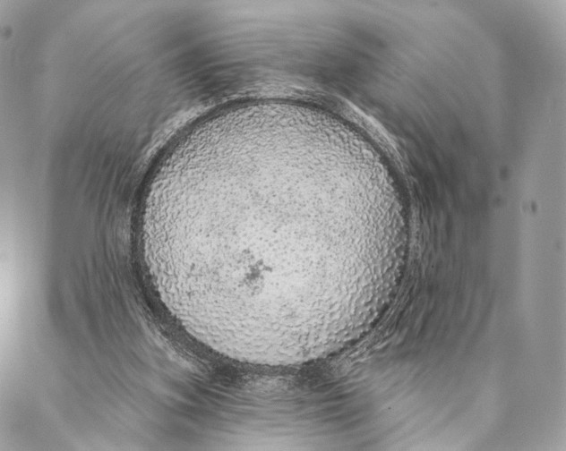 X0000087380155200705111744