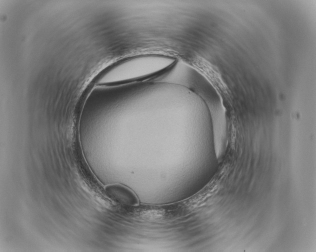 X0000087380156200705111744