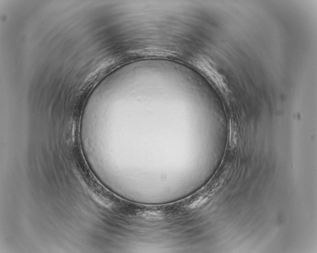 X0000087380157200705111744