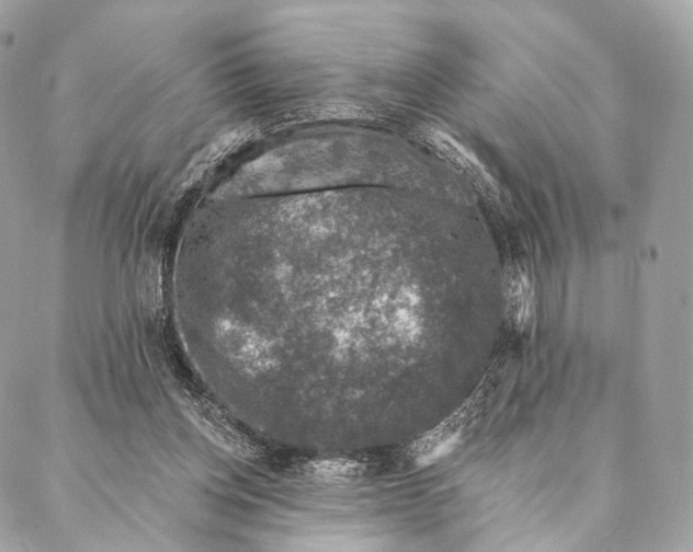 X0000087380158200705111744