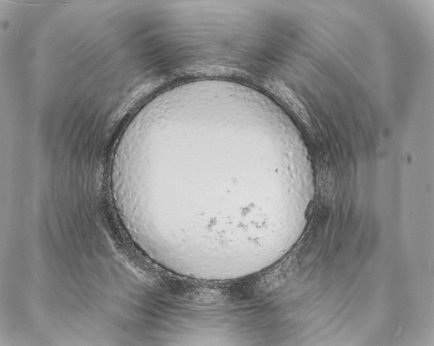 X0000087380159200705111744