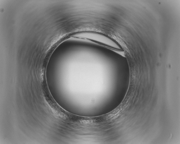 X0000087380160200705111744