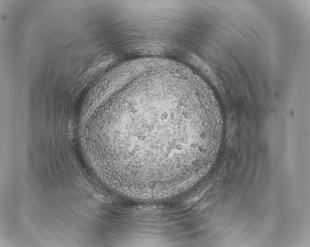 X0000087380161200705111744