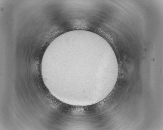 X0000087380162200705111744