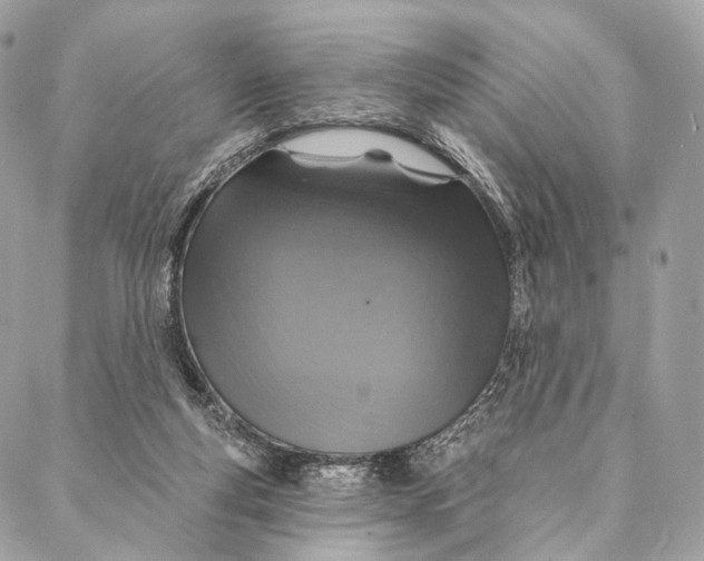 X0000087380163200705111744