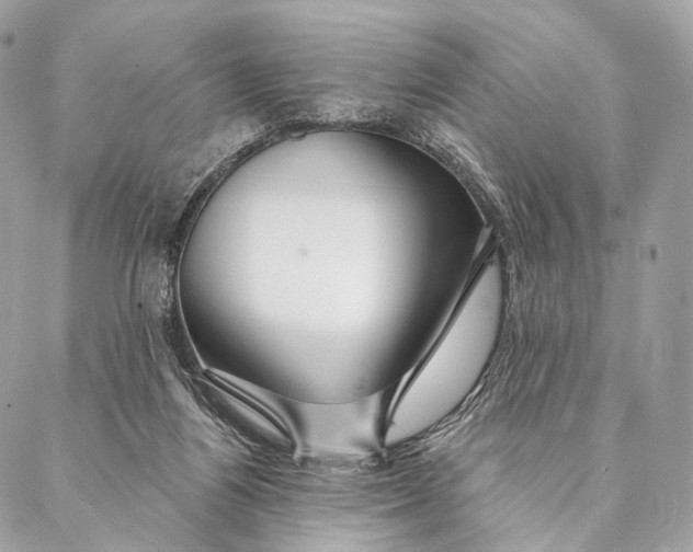 X0000087380164200705111744