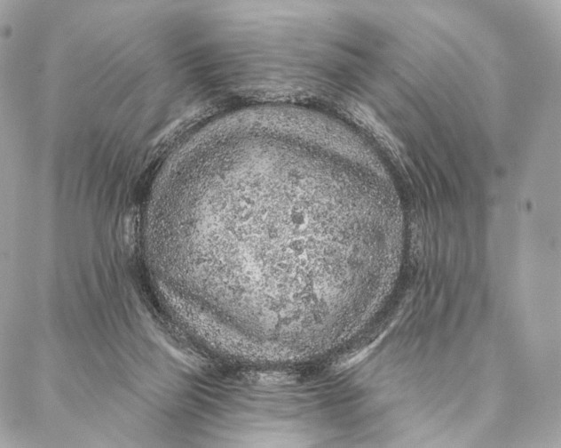 X0000087380165200705111744