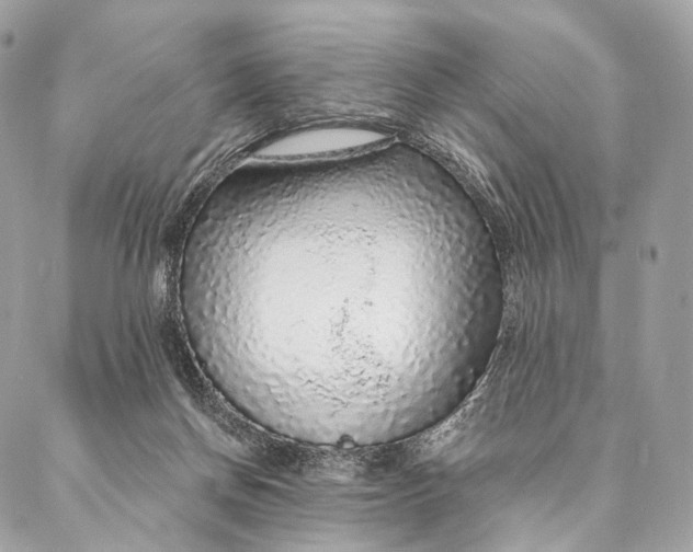 X0000087380166200705111744