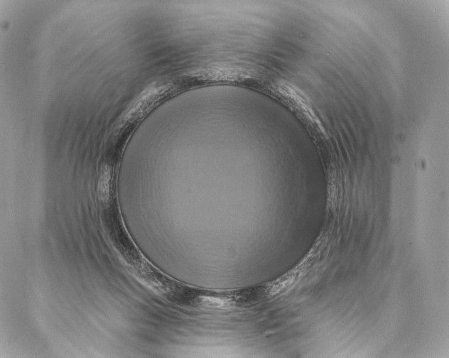 X0000087380167200705111744