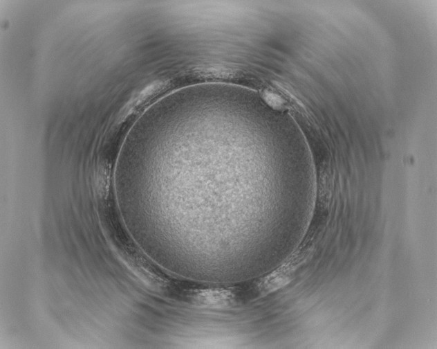 X0000087380168200705111744