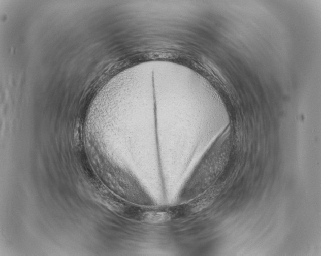 X0000087380169200705111744