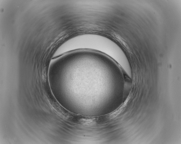 X0000087380170200705111744