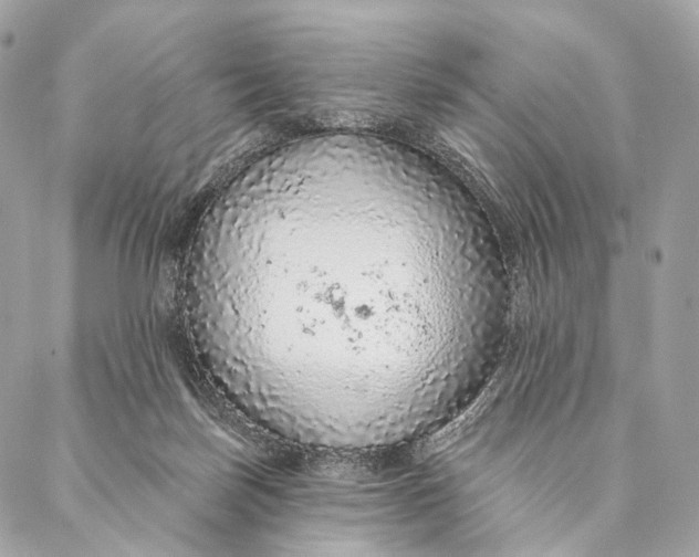 X0000087380171200705111744