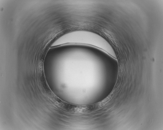 X0000087380172200705111744