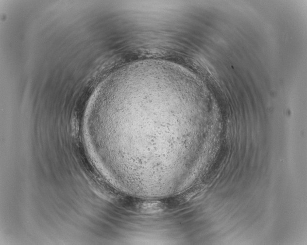 X0000087380173200705111744