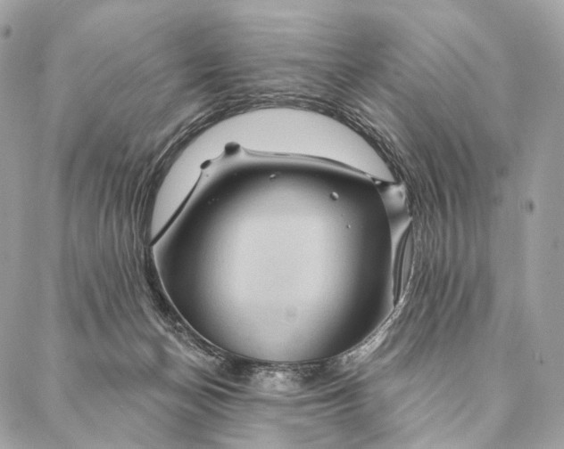 X0000087380174200705111744