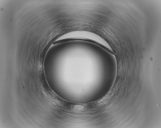 X0000087380176200705111744