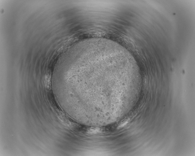 X0000087380177200705111744