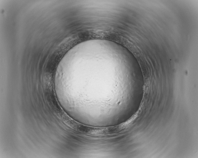 X0000087380178200705111744