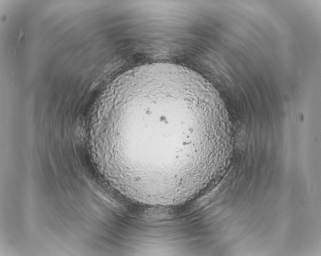 X0000087380179200705111745