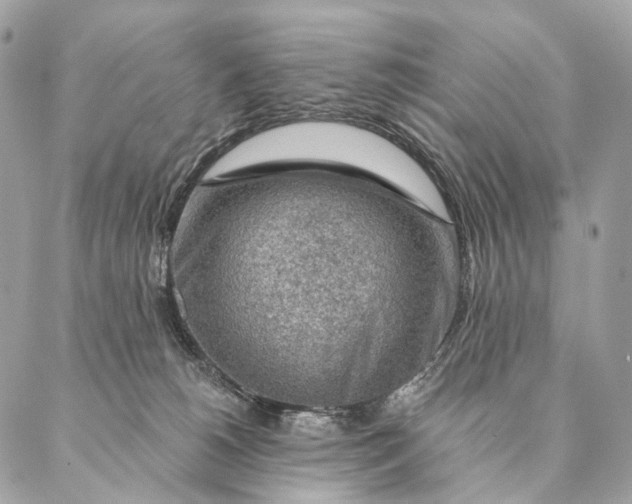 X0000087380180200705111745