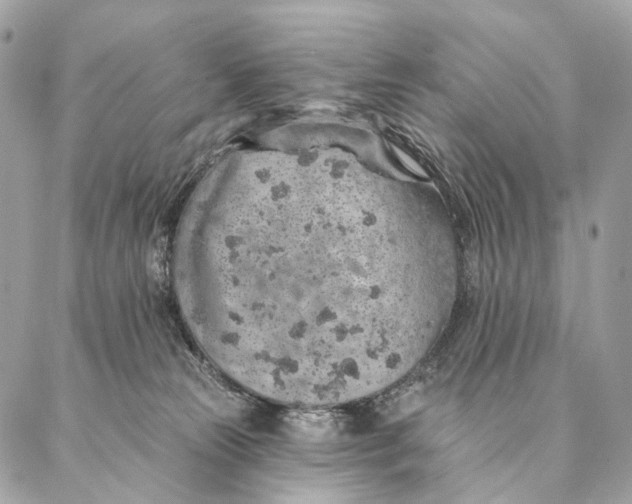 X0000087380181200705111745