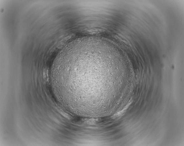 X0000087380182200705111745