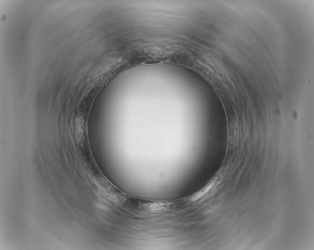 X0000087380184200705111745