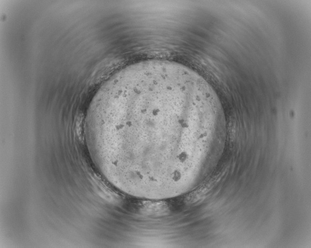 X0000087380185200705111745