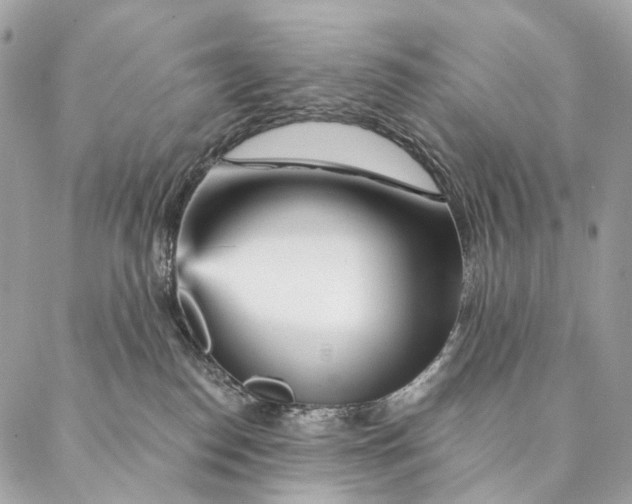 X0000087380186200705111745