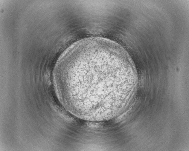 X0000087380187200705111745