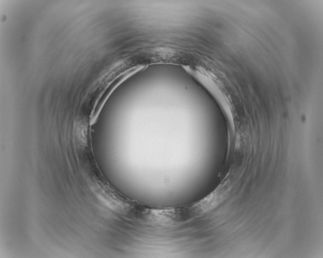 X0000087380188200705111745