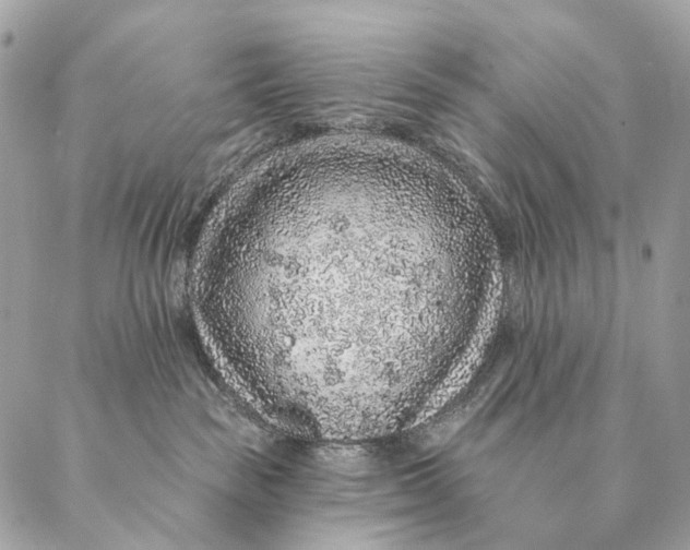 X0000087380189200705111745