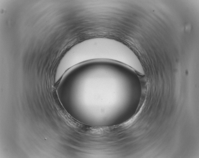 X0000087380190200705111745