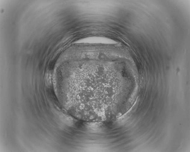 X0000087380191200705111745