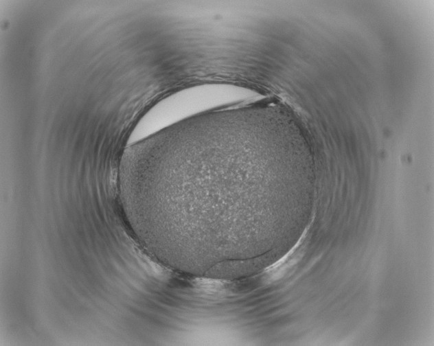 X0000087380192200705111745