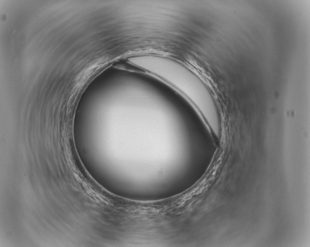 X0000087380193200705111744